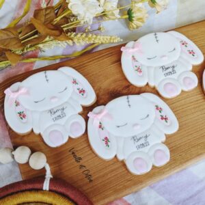 Biscuits personnalisés naissance