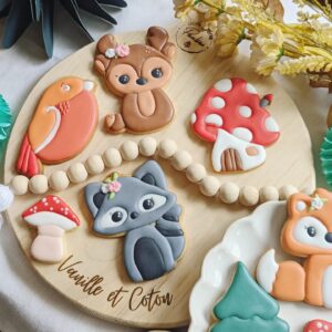 Anniversaire enfant Biscuits à offrir